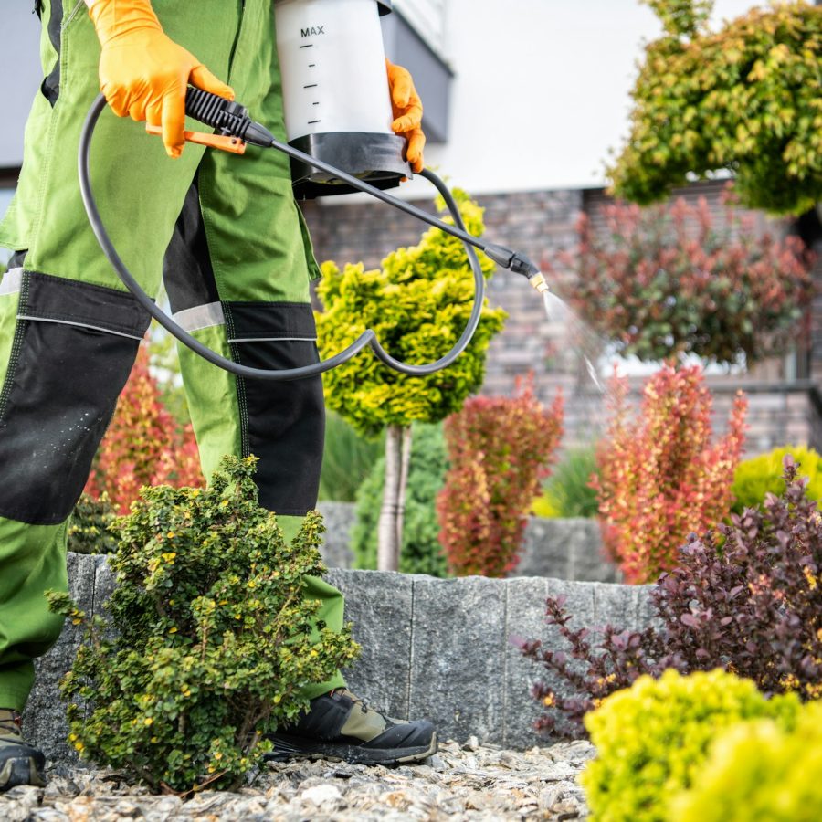 Garden Plants Pest-Control Treatment